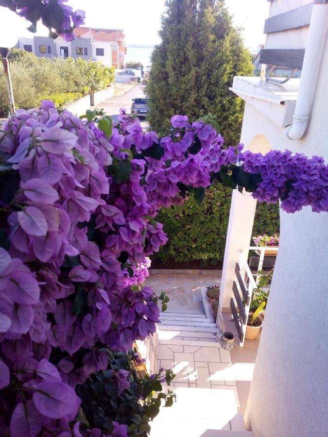 Apartman Milutin Vrsi Extérieur photo